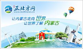 烏海市發放航空旅游補貼，助力旅行社與票務代理發展