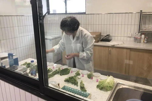 新規落地 “食用農產品”終于開了，時代的必然要求和挑戰